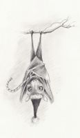 A Batty Christmas